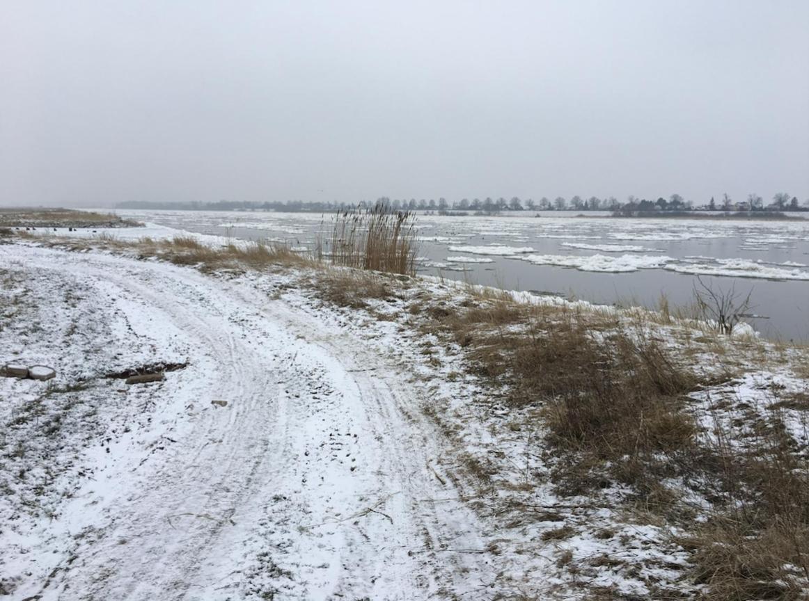 Tilia Authentic Home, Butikowe Apartamenty Nad Morzem Mikoszewo Esterno foto